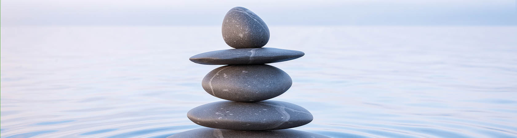 Advies op maat voor de adviseur